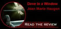 Dove in a Window by Jean Marie Haugen